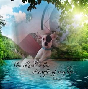 Meet your Posher, Percy